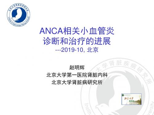 医学ppt--anca相关小血管炎诊断和治疗进展-精选文档