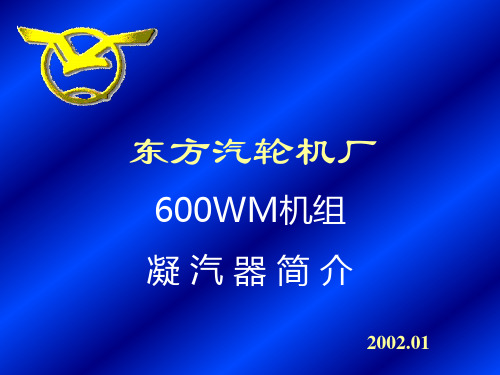 600WM凝汽器简介_C(ZHANG)