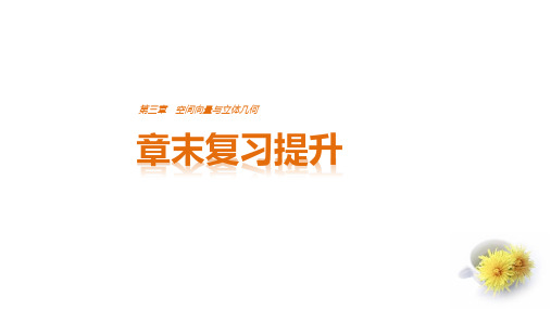 高中数学 第3章 空间向量与立体几何章末复习提升课件 新人教A版选修21