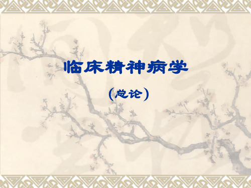 〖医学〗临床精神病学 (总论)