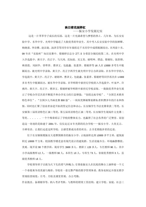 振安小学发展纪实