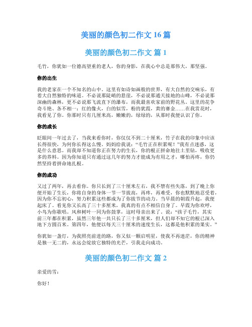 美丽的颜色初二作文16篇