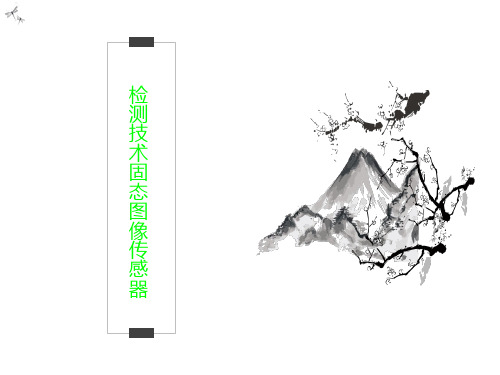 检测技术固态图像传感器