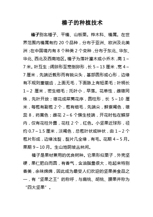 榛子的种植技术
