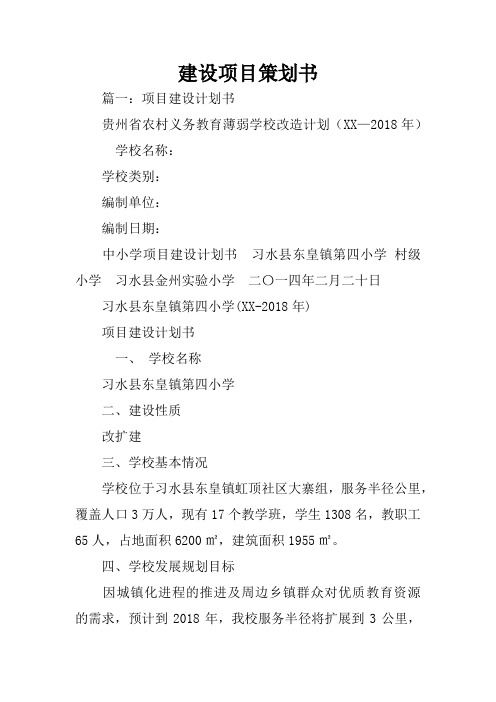建设项目策划书