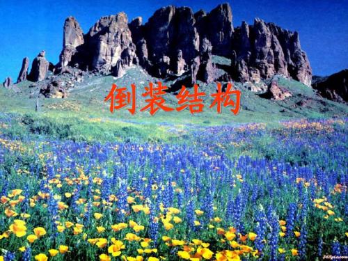 英语倒装句
