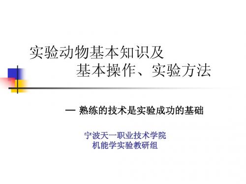 实验动物基本知识及
