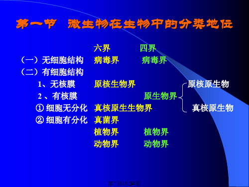 微生物分类与命名