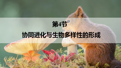6.4协同进化与生物多样性的形成