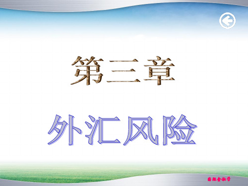 国际金融学(第三章)