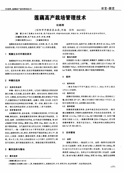 莲藕高产栽培管理技术