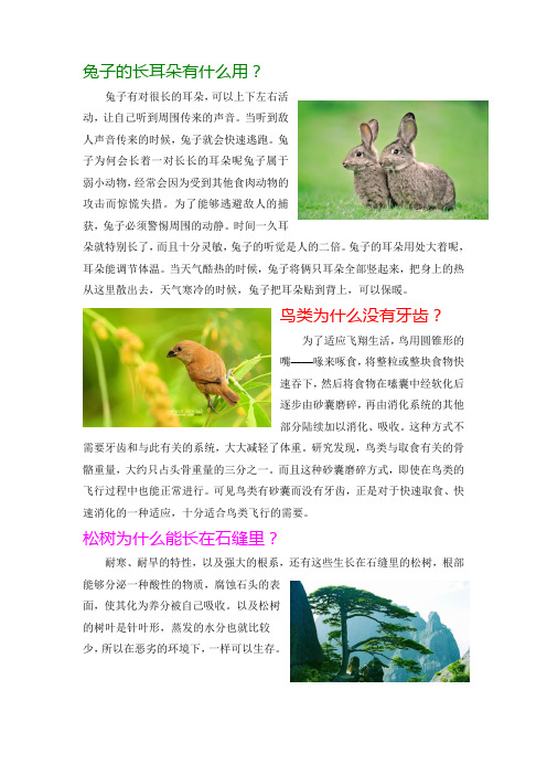 兔子的长耳朵有什么用