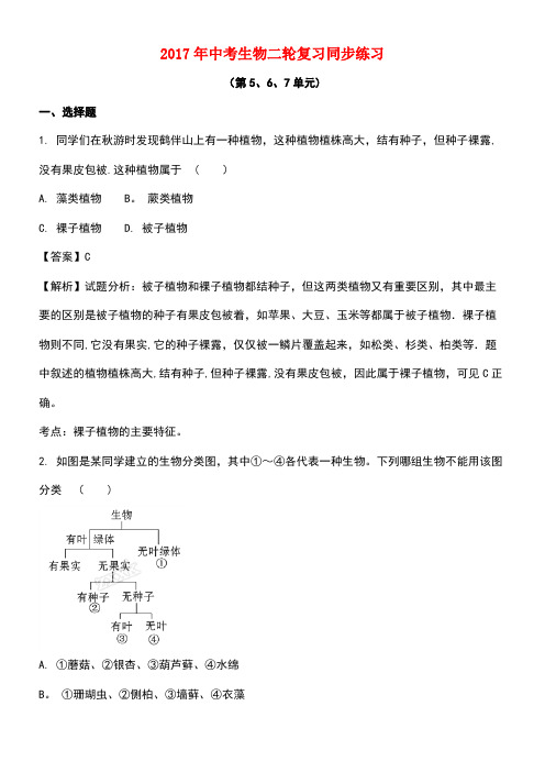 中考生物一轮复习第5-7单元同步练习(含解析)
