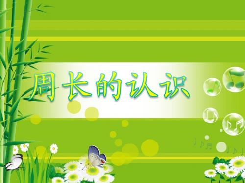 周长的认识