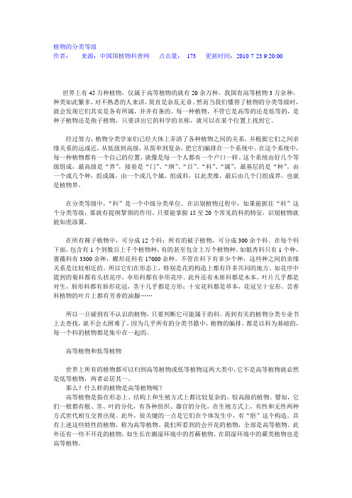 植物的分类等级