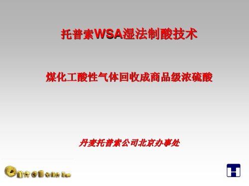 托普索WSA湿法制酸技术(煤化工)