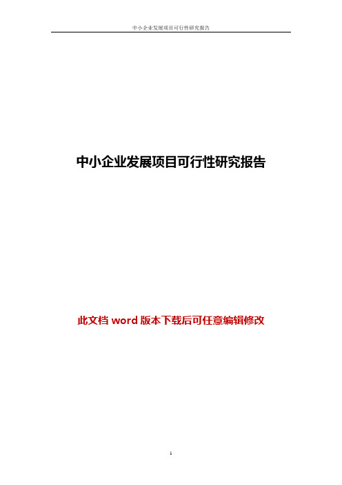 中小企业发展项目可行性研究报告