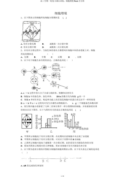 高三生物一轮复习课后训练：细胞增殖Word含解析