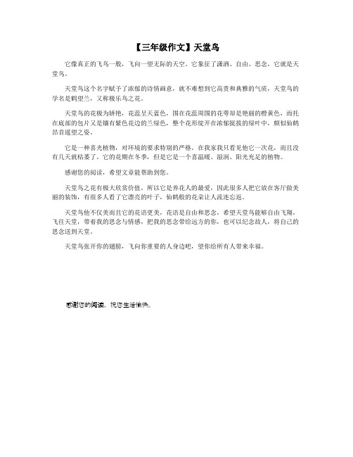 【三年级作文】天堂鸟
