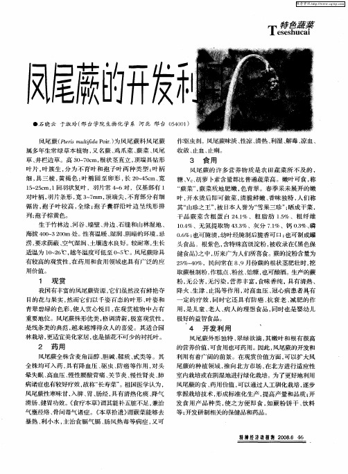 凤尾蕨的开发利用