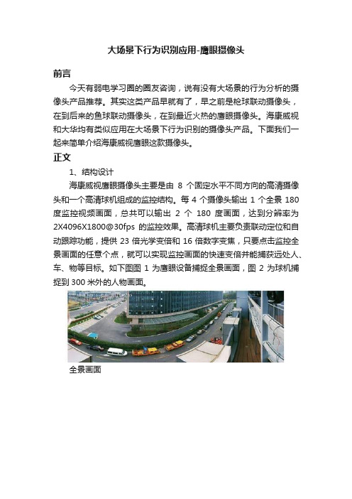 大场景下行为识别应用-鹰眼摄像头