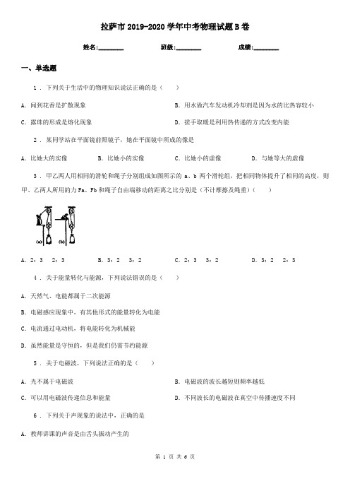 拉萨市2019-2020学年中考物理试题B卷