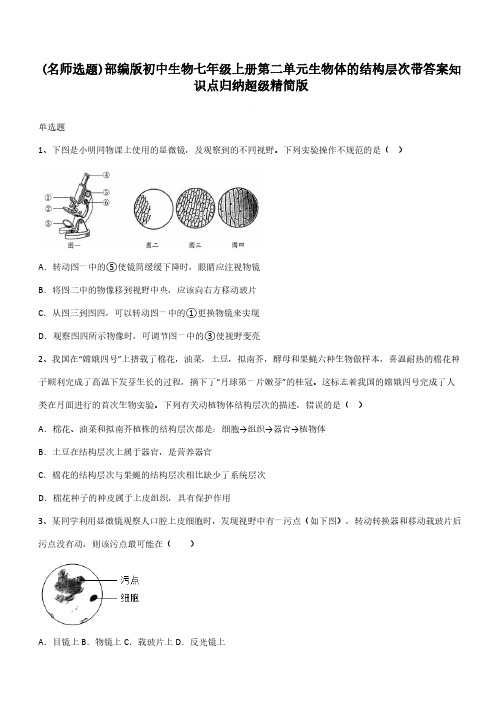 部编版初中生物七年级上册第二单元生物体的结构层次带答案知识点归纳超级精简版