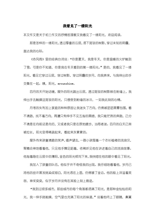 初中初三作文抒情哲理散文：我看见了一缕阳光