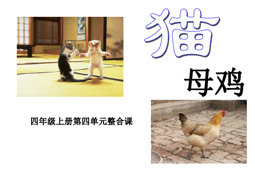 人教版小学语文四年级上册第四单整合学习课《猫》《母鸡》