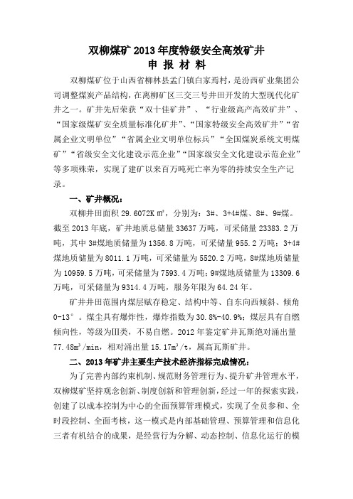 双柳煤矿2013学年特级安全高效矿井汇报材料