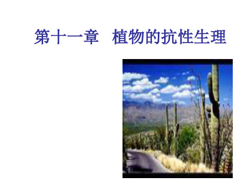 植物的抗性生理