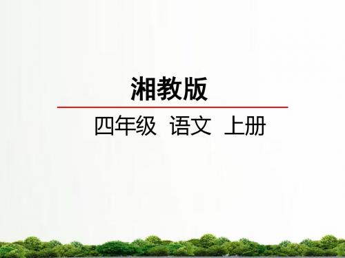 【精品】湘教版小学语文四年级上册课件：22美丽的兴凯湖课件