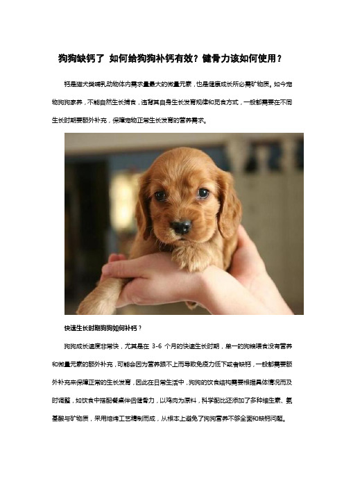 狗狗缺钙了 如何给狗狗补钙有效？健骨力该如何使用？