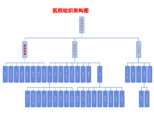 医院组织架构(结构)图(1)