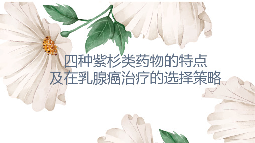 四种紫杉类药物的特点及在乳腺癌治疗中的选择策略