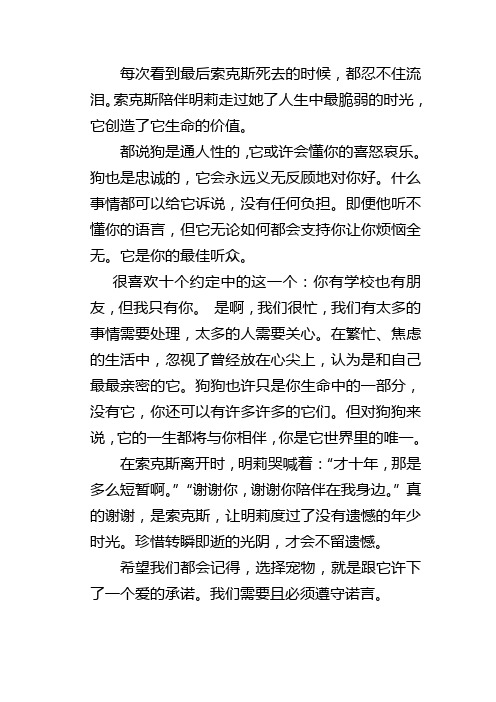 狗狗与我的十个约定影评