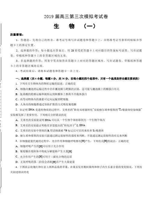 【精编版】2019年高三第三次模拟考试生物试卷及答案解析二