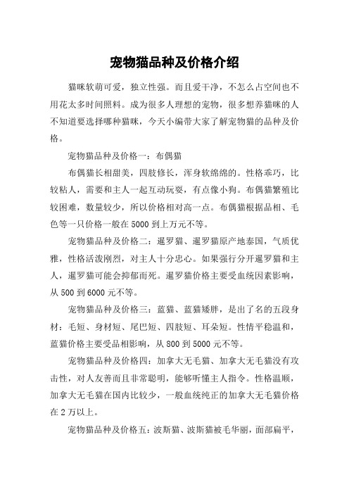 宠物猫品种及价格介绍