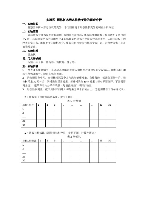 实验2