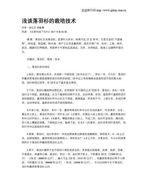 浅谈落羽杉的栽培技术