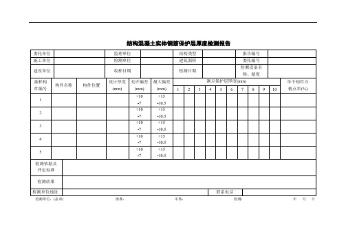 混凝土实体检测报告样表模板