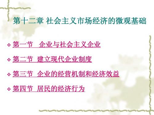 第十二章 社会主义市场经济的微观基础
