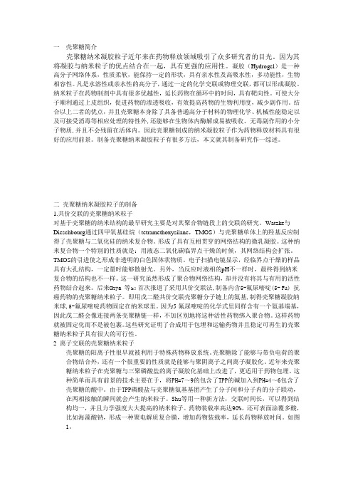 壳聚糖纳米凝胶药物载体