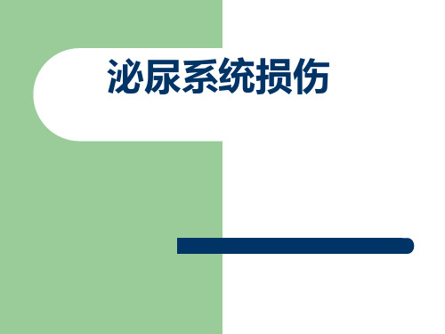 泌尿系统损伤-精品医学课件