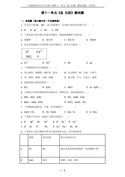 人教版初中化学九年级下册第十一单元《盐 化肥》测试试题(含答案)