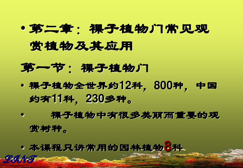 植物学PPT课件