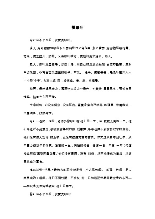 赞绿叶_散文