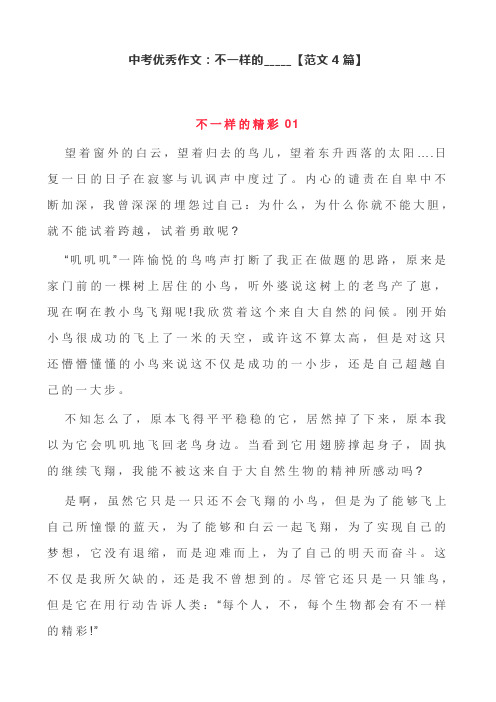 中考优秀作文：不一样的_____【范文4篇】