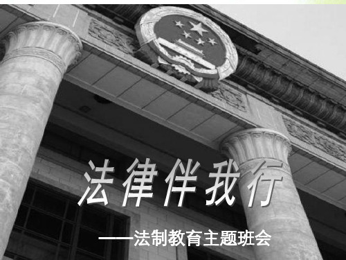 高中法制教育主题学习班会 .ppt