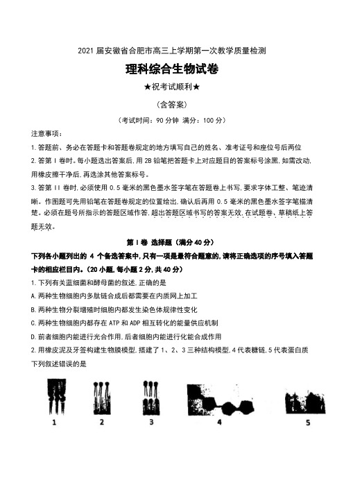 2021届安徽省合肥市高三上学期第一次教学质量检测理科综合生物试卷及答案